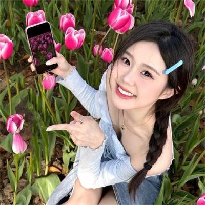 我和我的伙伴